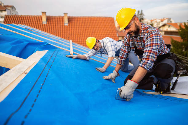 Roof Gutter Cleaning in Troy, OH